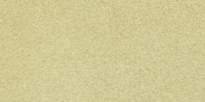 Moose Tan